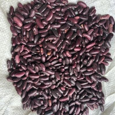 Red Kidney Beans